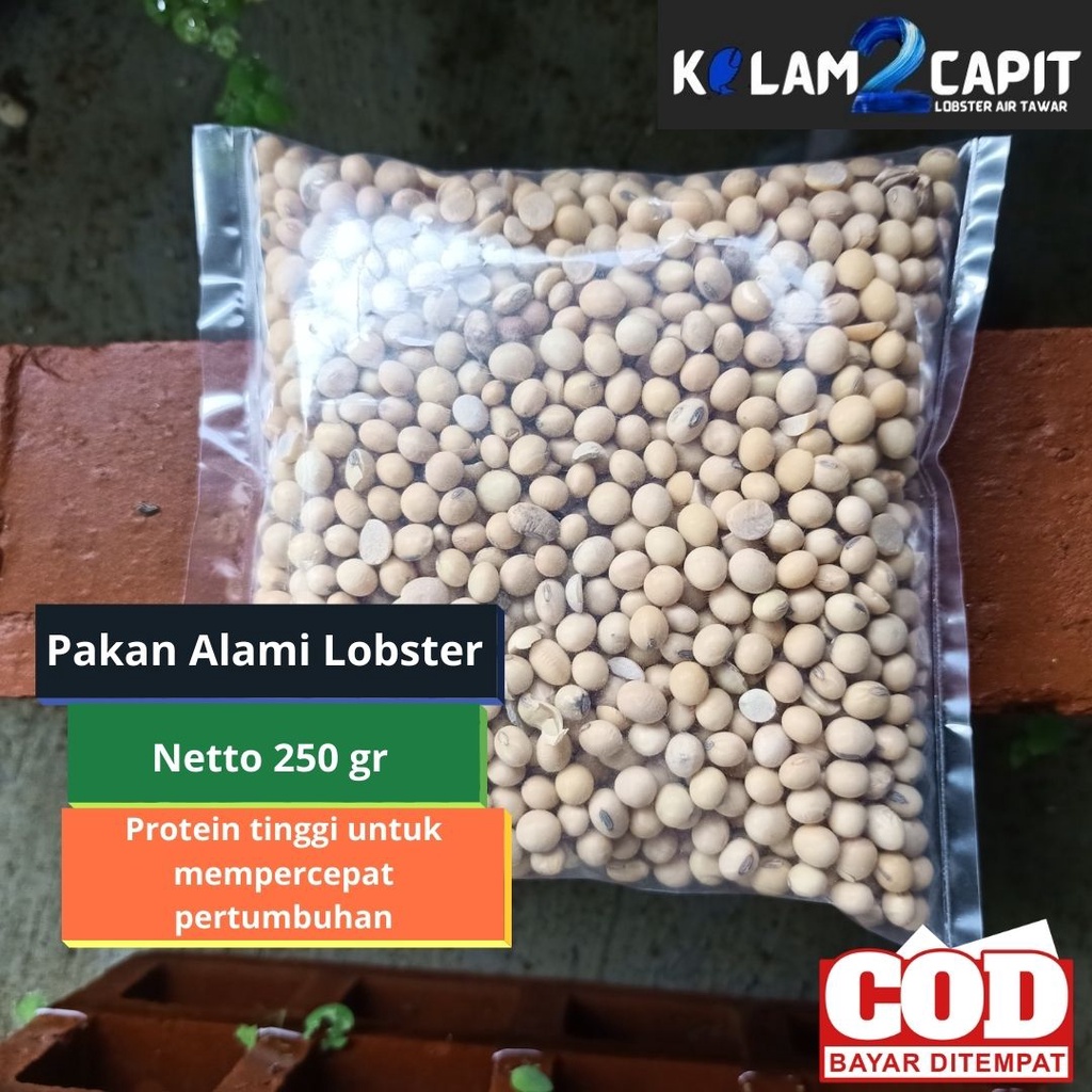 [BISA COD] PAKAN ALAMI 250 GRAM LOBSTER AIR TAWAR - CRAYFISH HIAS KONSUMSI