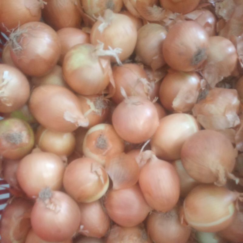 

Bawang Bombay
