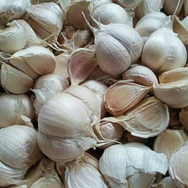 

Bawang putih