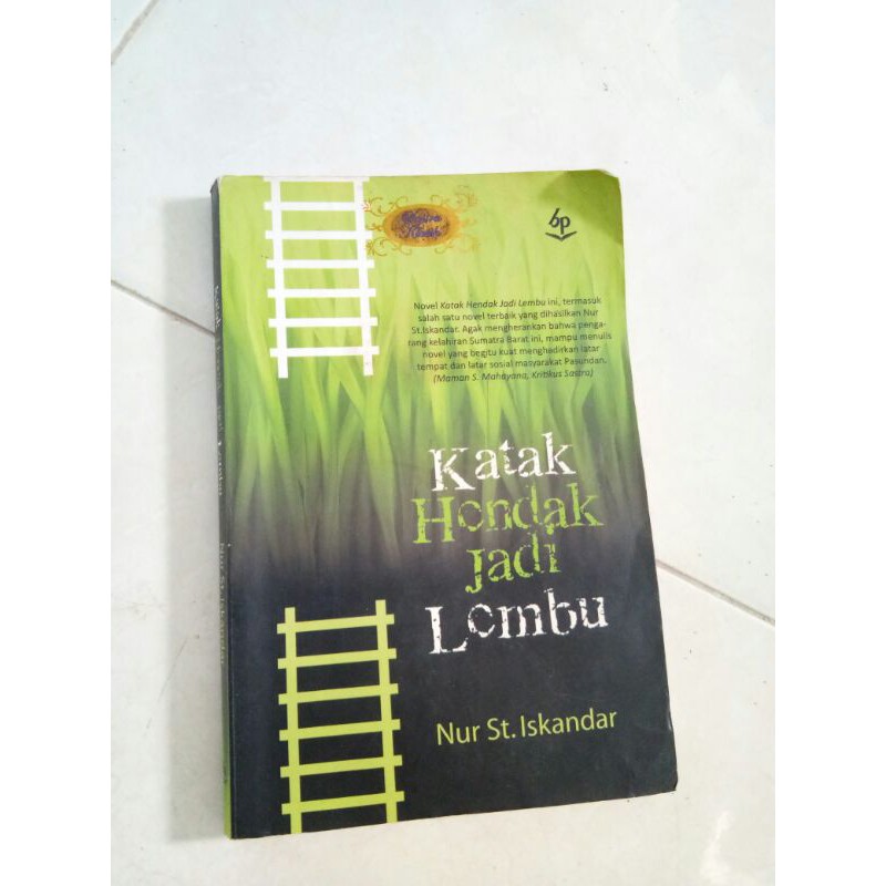 novel katak hendak jadi lembu
