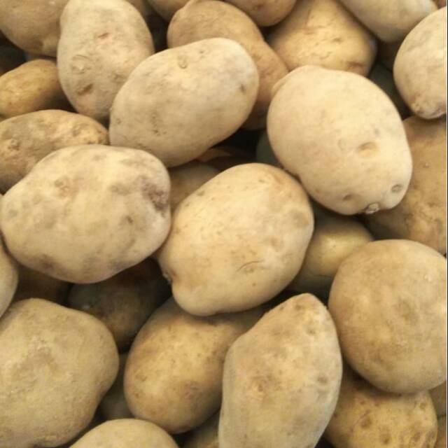 

kentang dieng super / 10.000 / 500 gram