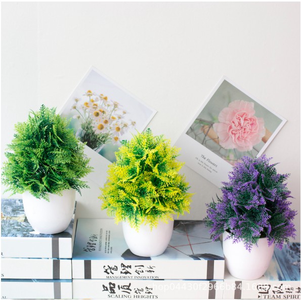 TANAMAN BUNGA PLASTIK DEKORASI RUMAH TANAMAN HIAS TREND MURAH IMPORT COD EYE GRASS-5