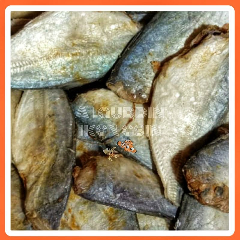 

Ikan Peda Buntung Tanpa Kepala Bersih Isi Banyak 500gram