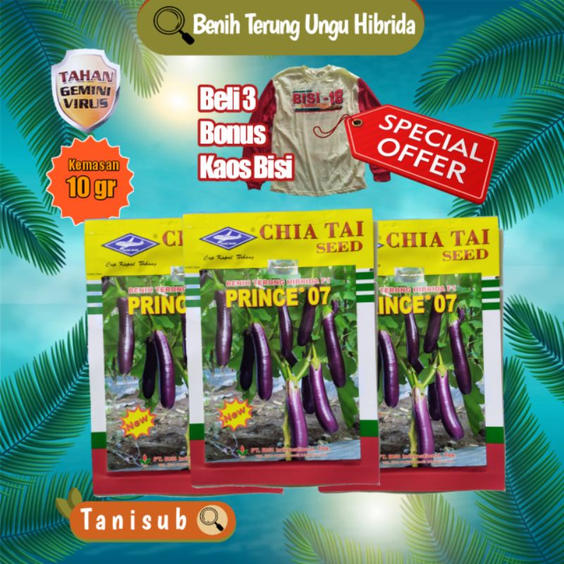 Benih Terung Prince 07 (Epa) isi 10gr