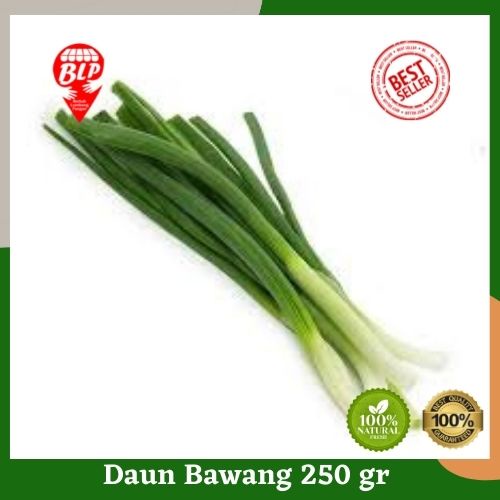 

Daun Bawang Segar 250 gr Berkah Lumbung Pangan