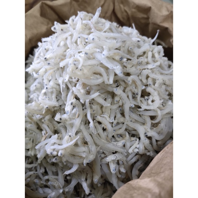 

TERI MEDAN - Teri Happibud