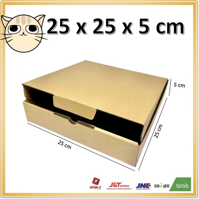 

DUS PACKING 25x25x5 cm