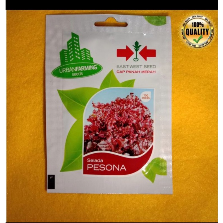 Selada Pesona MerahIsi : 100 seeds
