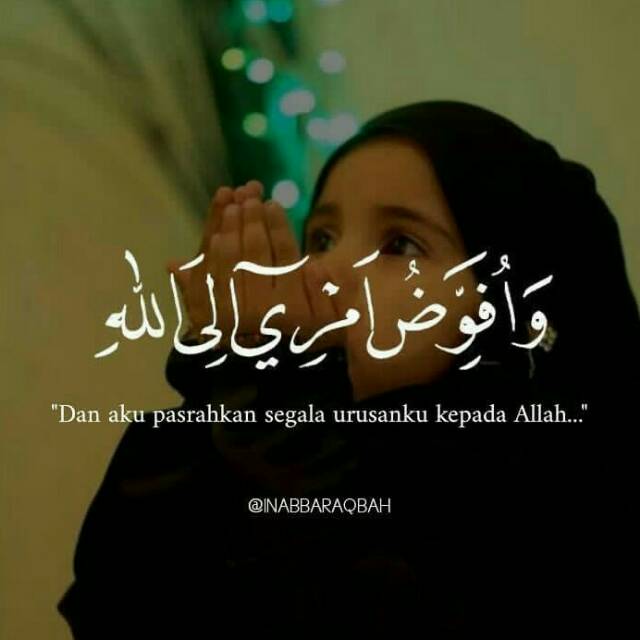 olshop_qieta