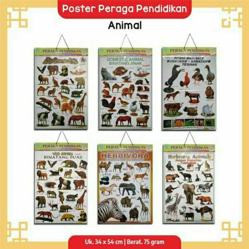 Poster edukasi hewan animals ternak buas jinak herbivora  unggas burung dan burung pemburu