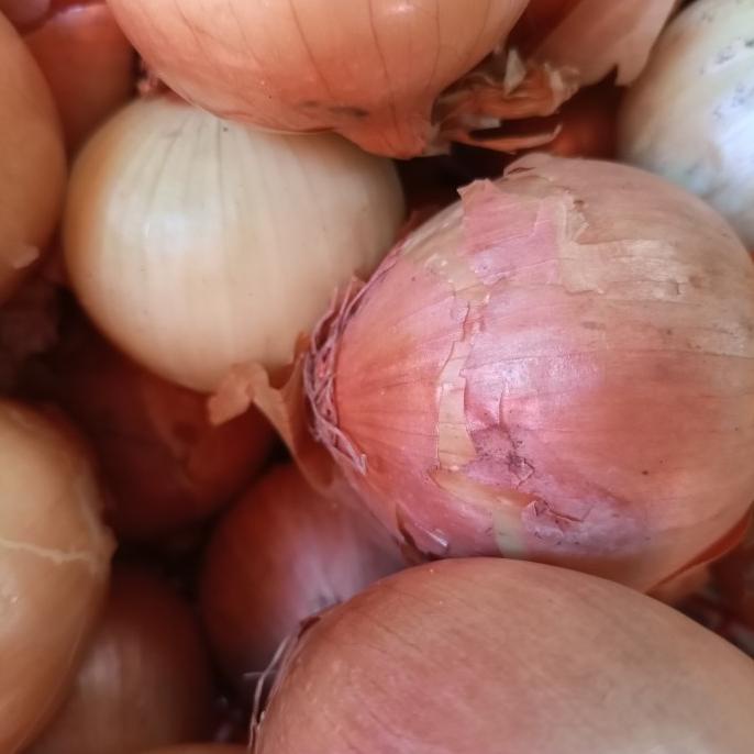 

[[COD]] bawang bombay kecil TERJAMIN Kode 711
