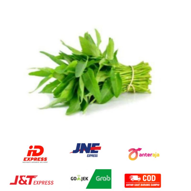 

Kangkun Satu Ikat Wiranilo Padang