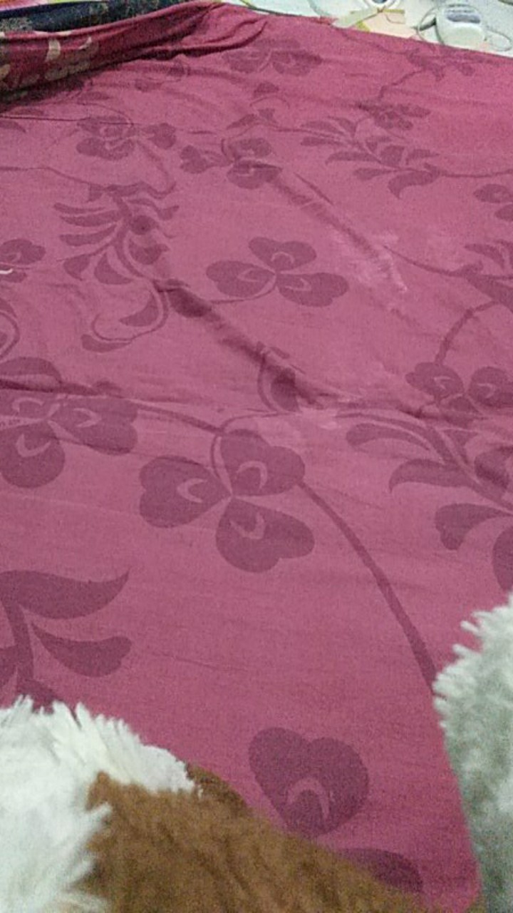 [isi 3 Pcs] Keranjang Parsel Buah