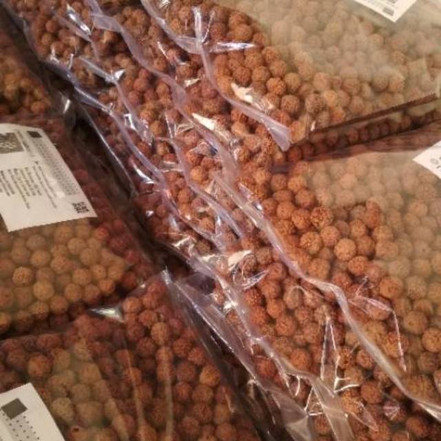Jenitri 11mm Paket 1000butir Bahan Kerajinan Genitri Rudraksha