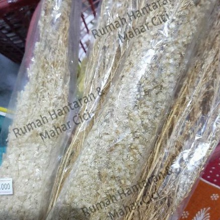 pampas 7tngkai/pampas kering/tanaman pampas/dried pampas