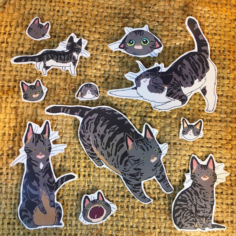 

STICKER PACK MURAH KUCING AESTHETIC DECOR MURAH HADIAH NOTES GIFT BOX