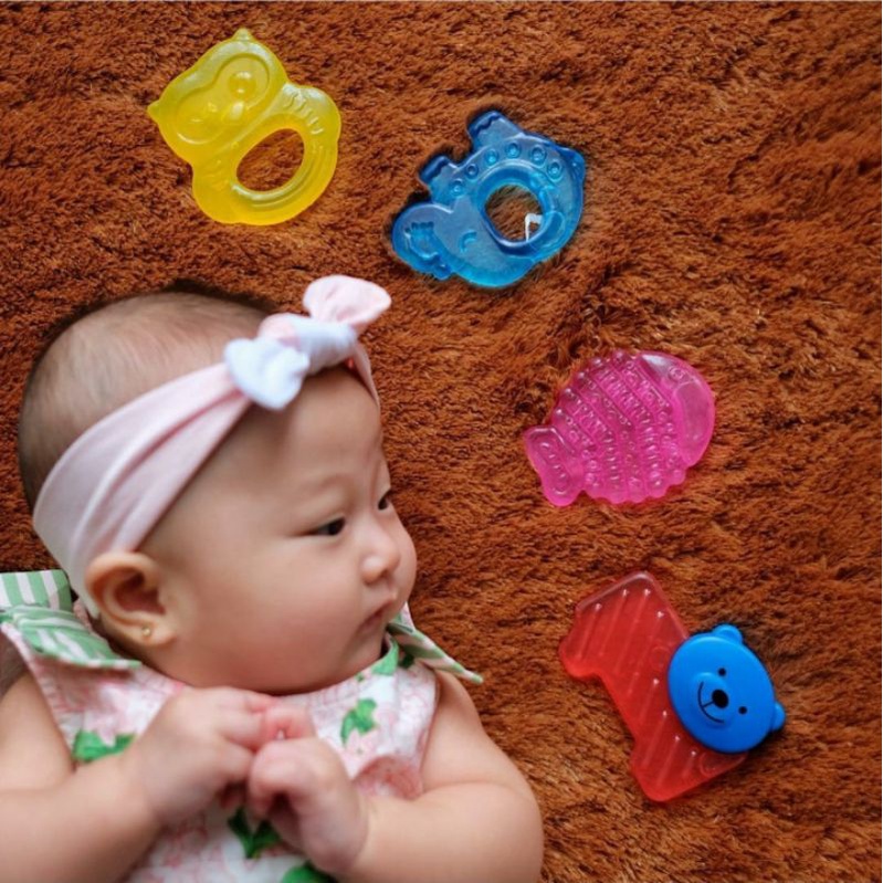 Dodo Water Filled Teether Bayi BPA Free Non Toxic / Gigitan Bayi Teether Air Dodo