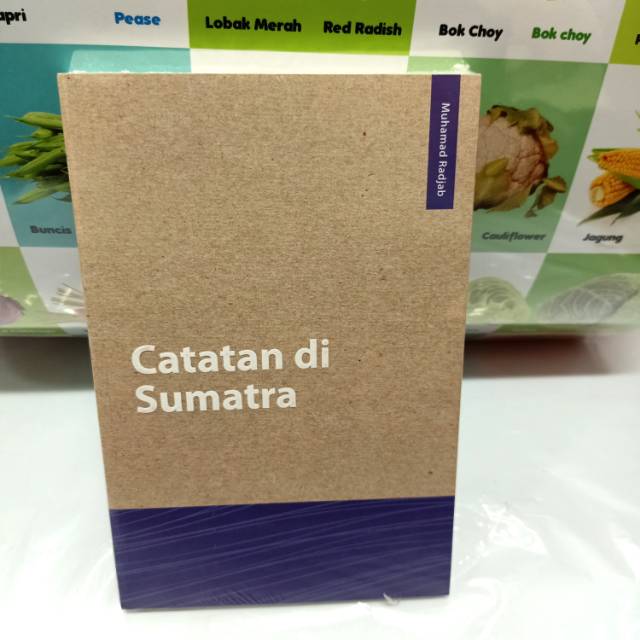 Catatan Di Sumatra      Muhammad Radjab