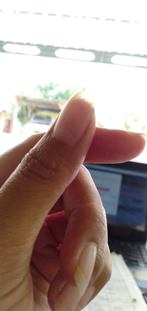 Maowang Orange Hologram Racun Tikus Ampuh