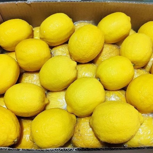 

Buah Lemon Fresh Per Kilo