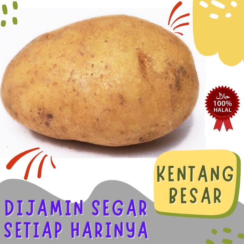 

Kentang Besar 1kg 1000gr Dari Lumajang