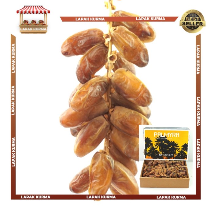 

Kurma Terbaru - Kurma Tangkai Aljazair Palmyra 5Kg