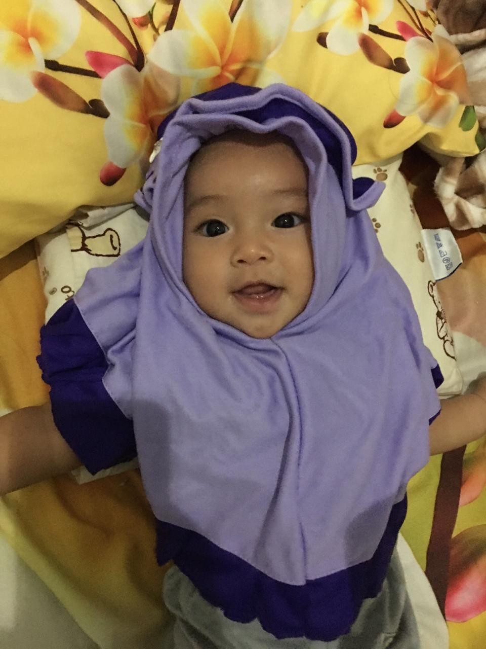 Benih Pepaya California -bibit Pepaya California - Benih Pepaya California Zayoseed