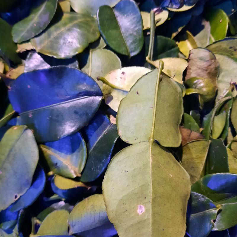 

daun jeruk 100g