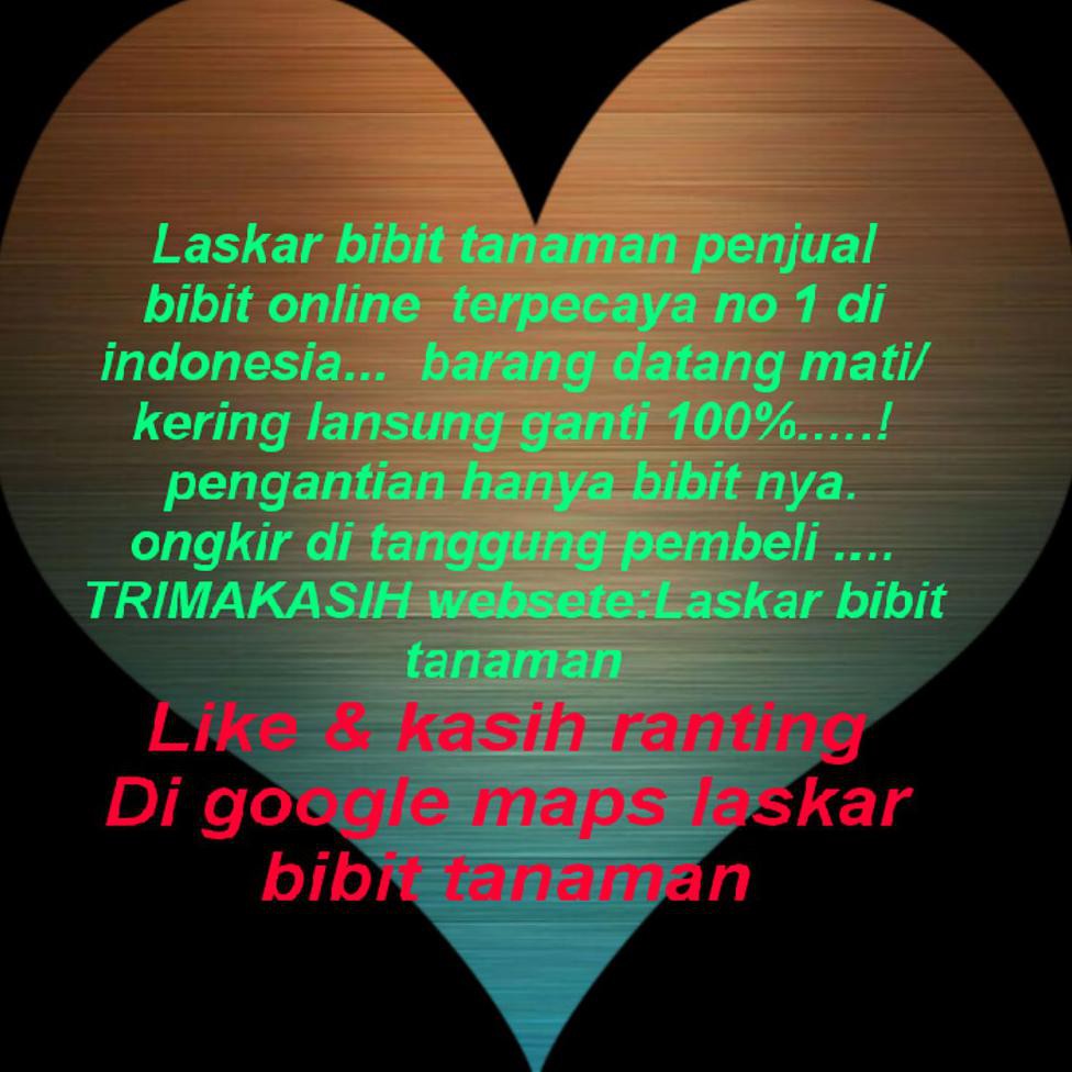 *_@ JERUK SONKIT MURAH JERUK  SONKIT UNGUL HUO