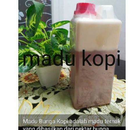 

madu kopi murni 1kg