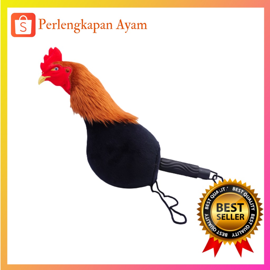 850 Koleksi Gambar Burung Kepala Ayam HD