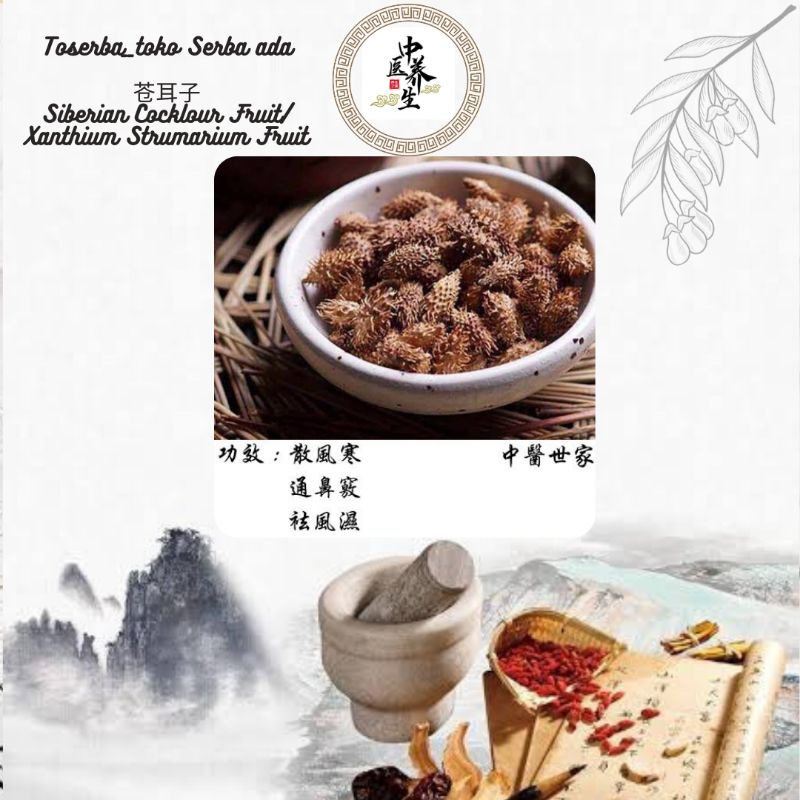 

100gr Herbal Cang Er Zi 苍耳子 Siberian Cocklour Fruit Xanthium Strumarium Fruit Fructus Xanthii
