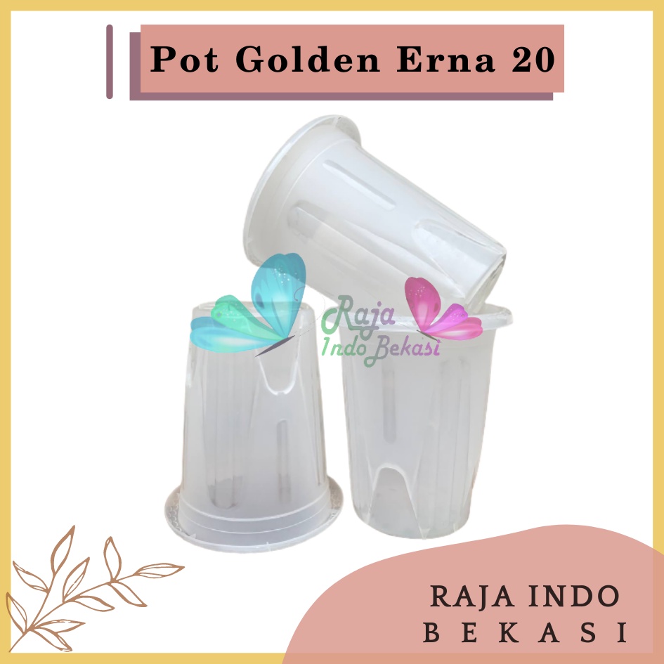 Rajaindobekasi Pot Golden Erna 20 Transparan Bening Garden Of Love Mirip Pot Yogap 18 19 25 Murah Putih Coklat Merah Bata Bening Transparan Pot Yogap 18 19 25 Pot Yogap Murah Pot Bunga Tinggi Pirus Tegak Bagus Tebal