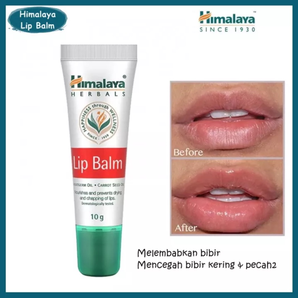 Himalaya Lip Balm Regular - Dangler 10gr