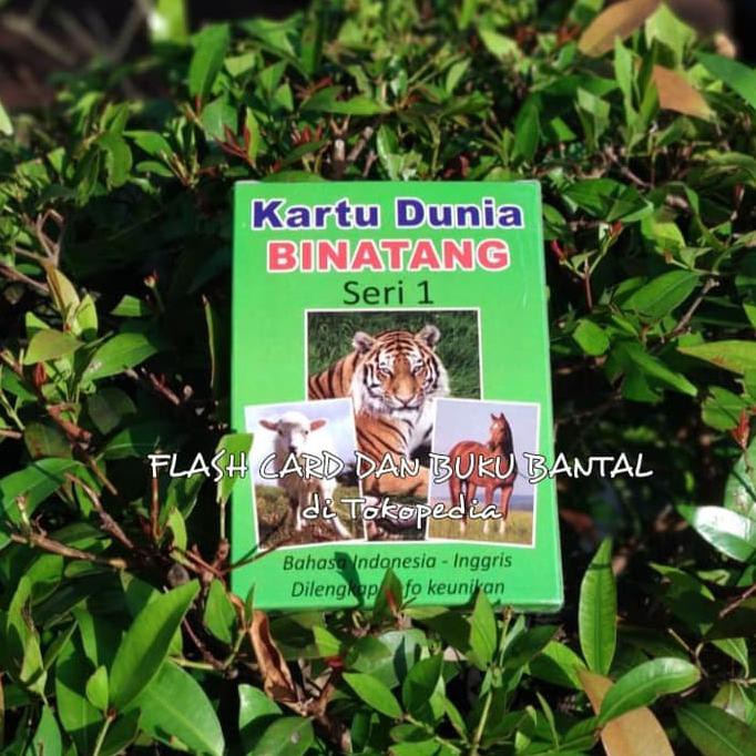 

Flash Card Dunia Binatang 1