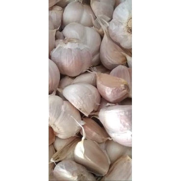 

BAWANG PUTIH