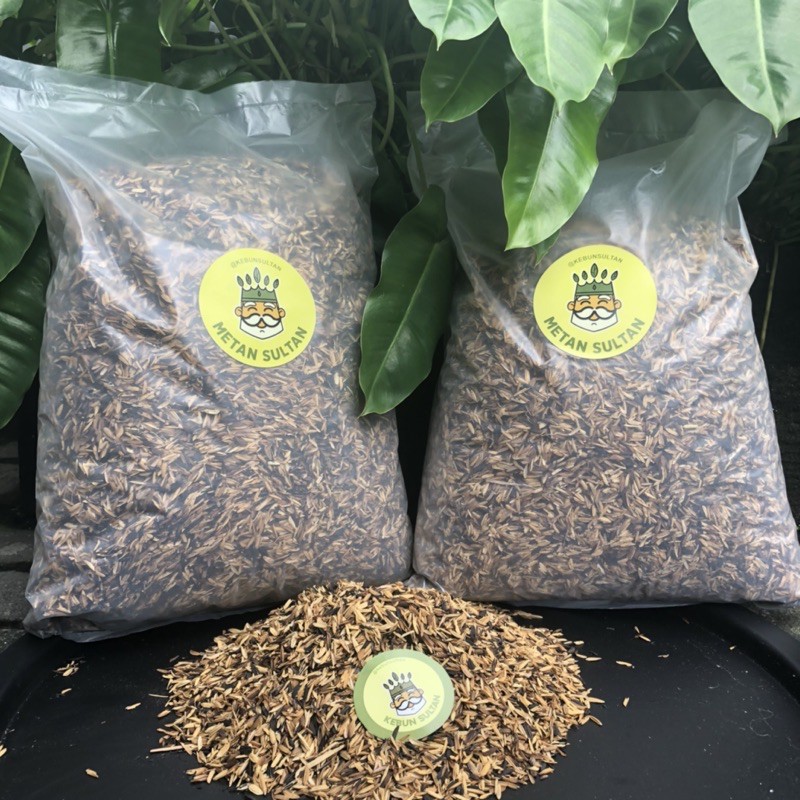 Media Tanam SEKAM OVEN siap pakai 1kg