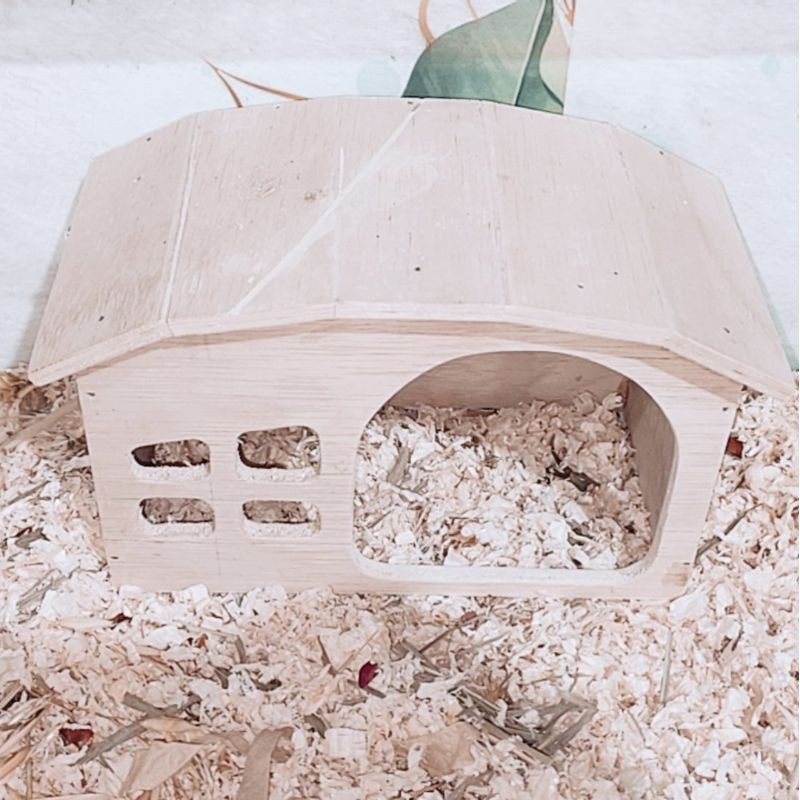 Hamster House pt.1 | Rumah Hamster | Alextine Small Pets