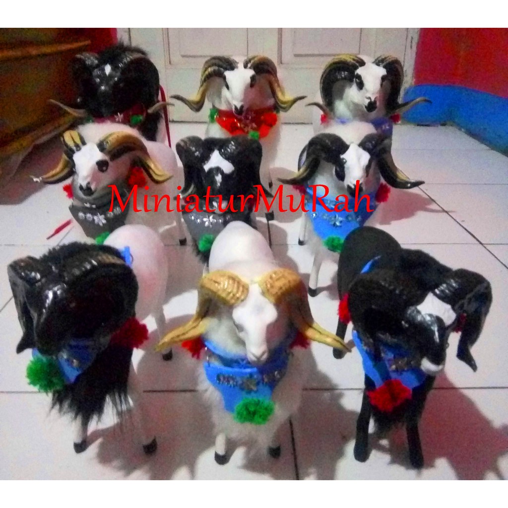 Miniatur Domba