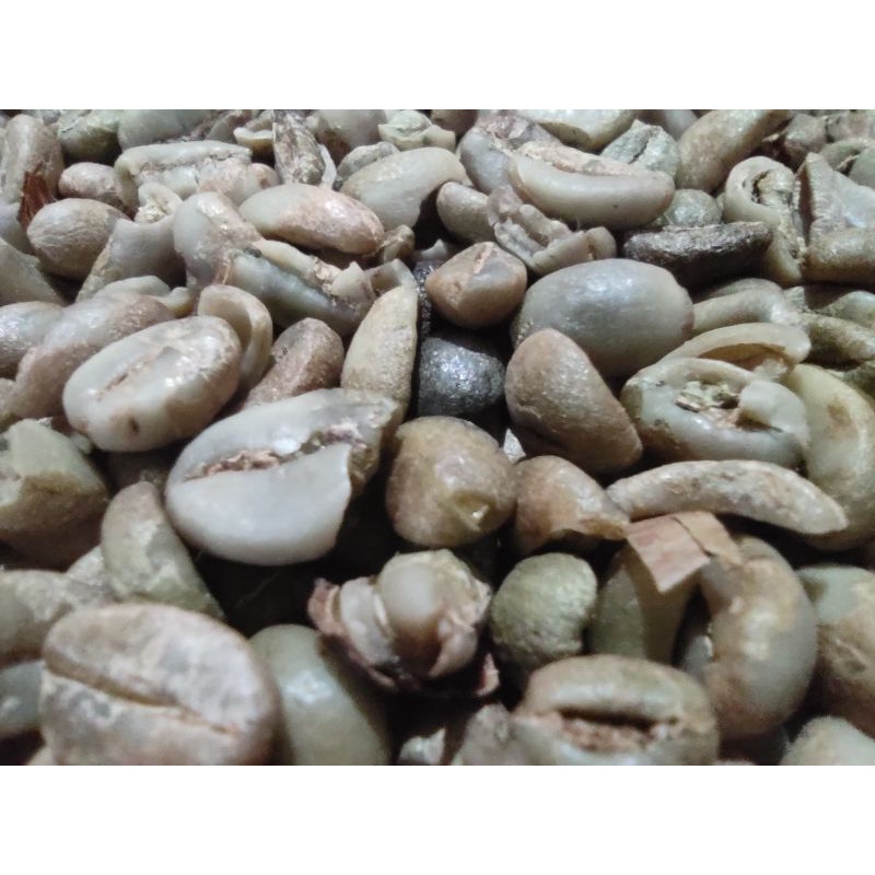 

Biji Kopi Mentah Hutan