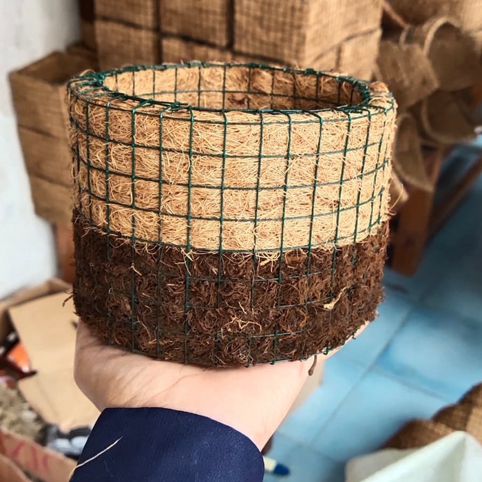 Pot bunga orchid anggrek bunga hias
