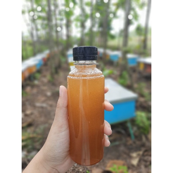 

madu murni 101%