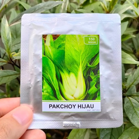 benih sayur - benih buah - benih sayuran - benih tomat - benih cabe - benih selada - benih bayam - benih terong - benih pakchoy -RS-pakchoy hijau
