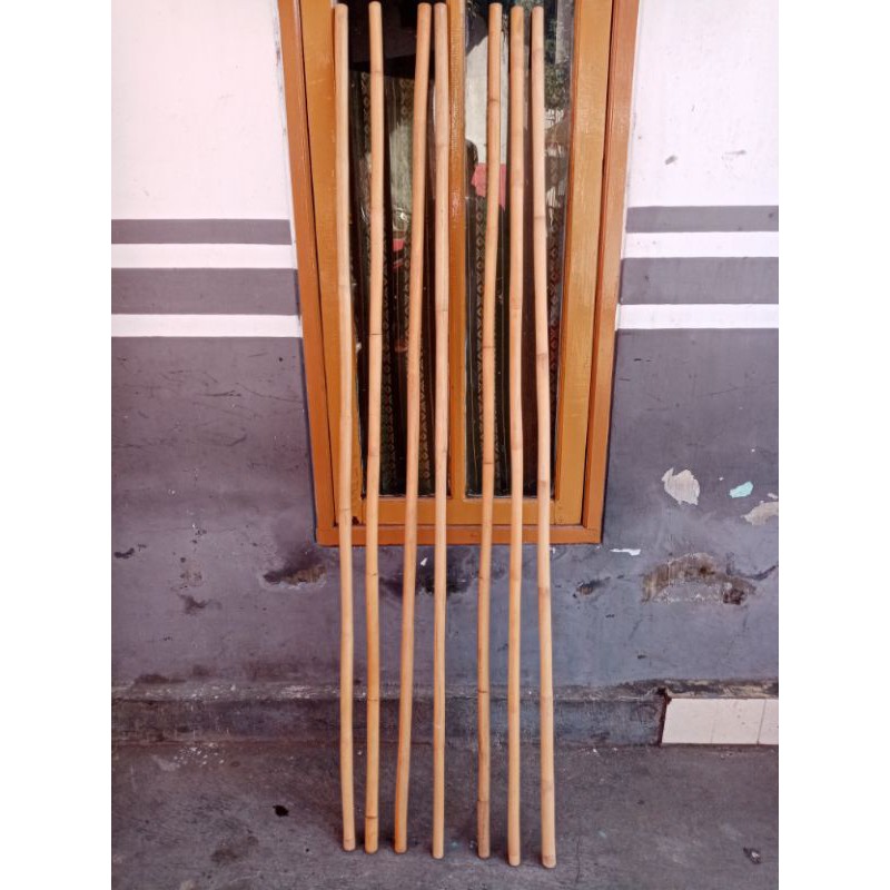 Toya (rotan) pencak silat