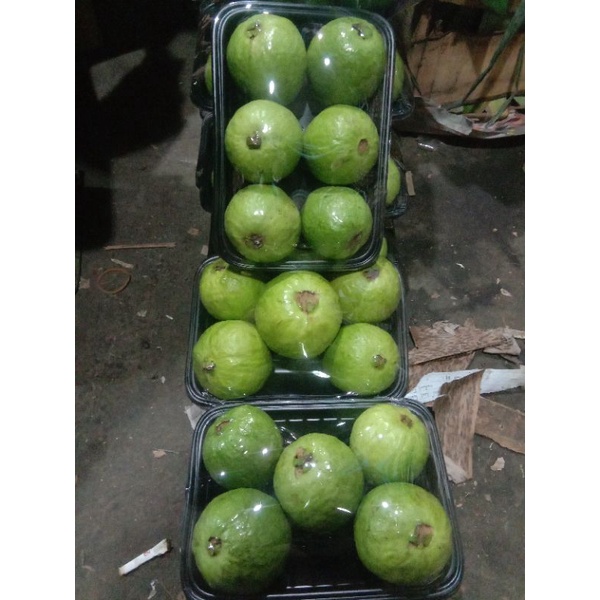 

buah segar jambu biji merah