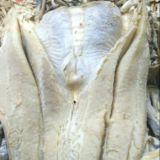 

Ikan Jambal Roti Medan tanjung balai 250gram