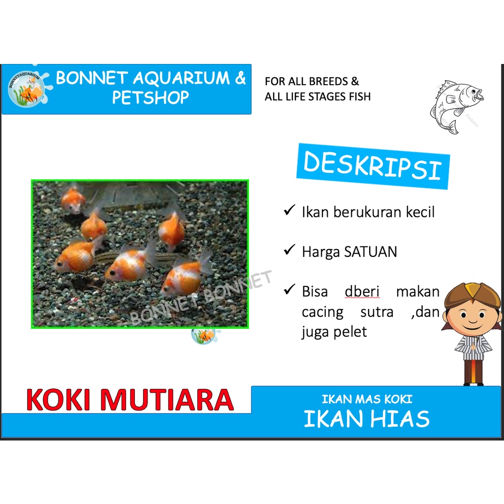 GRAB ONLY IKAN HIAS AQUARIUM IKAN KOKI MUTIARA KECIL
