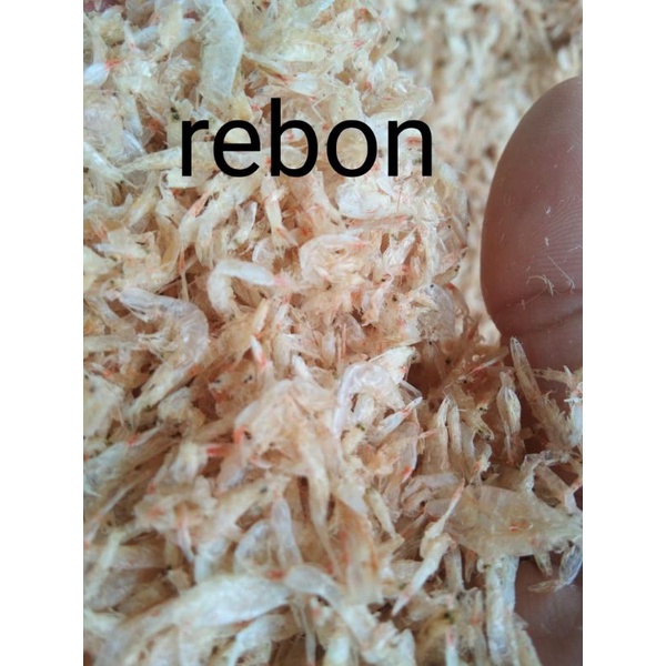

REBON