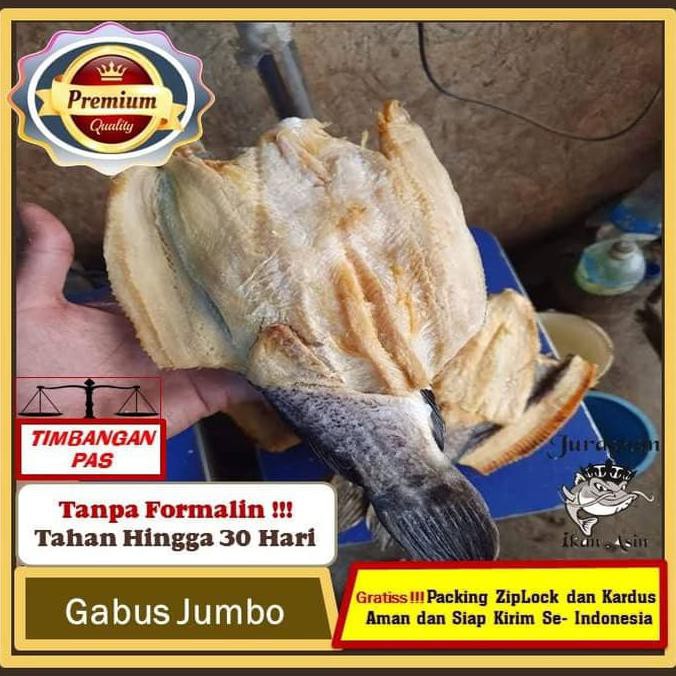 

Ikan Asin Gabus Jumbo Kering TerEnak Kualitas Export di Tangerang