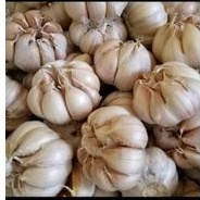 

BAWANG PUTIH BANCI BAWANG PUTIH BIASA 250 GRAM